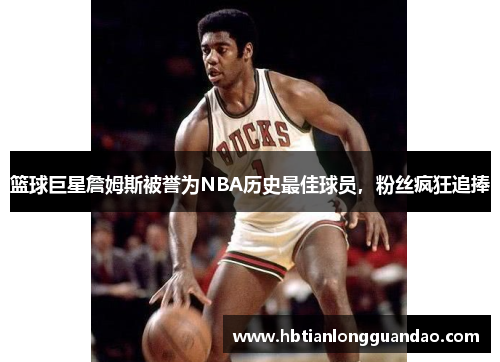 篮球巨星詹姆斯被誉为NBA历史最佳球员，粉丝疯狂追捧