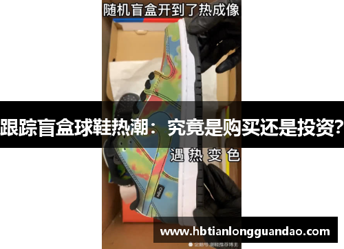 跟踪盲盒球鞋热潮：究竟是购买还是投资？